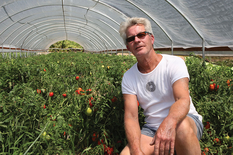Charlie Harris inside his greenhouse.