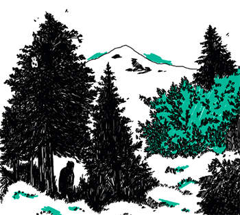 Illustration of woods and mountain landscape
