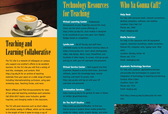 Screenshot of the TLC brochure