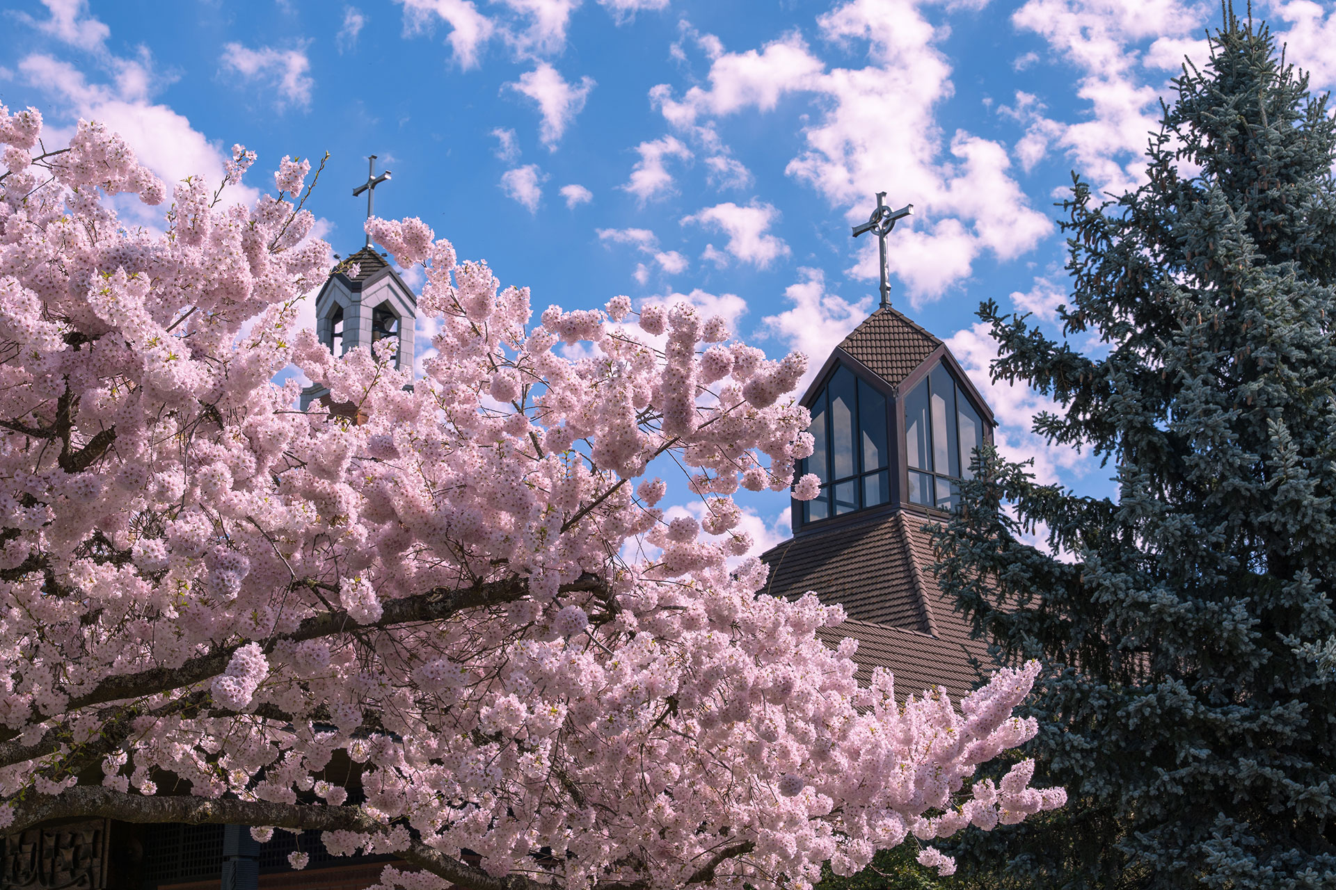 This display name, set in the CMS with the image, displays as the alt text for the image