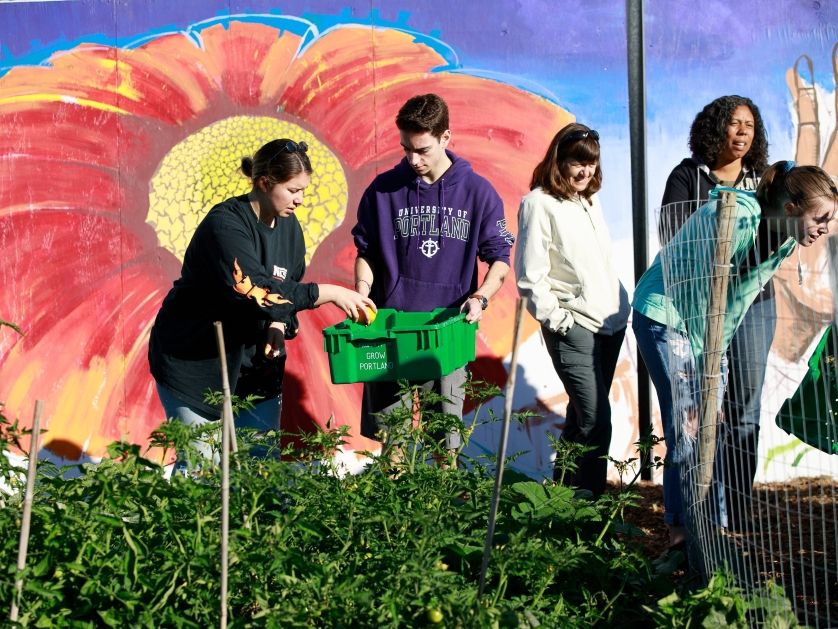 Students work in a community garden as part of their service immersion.