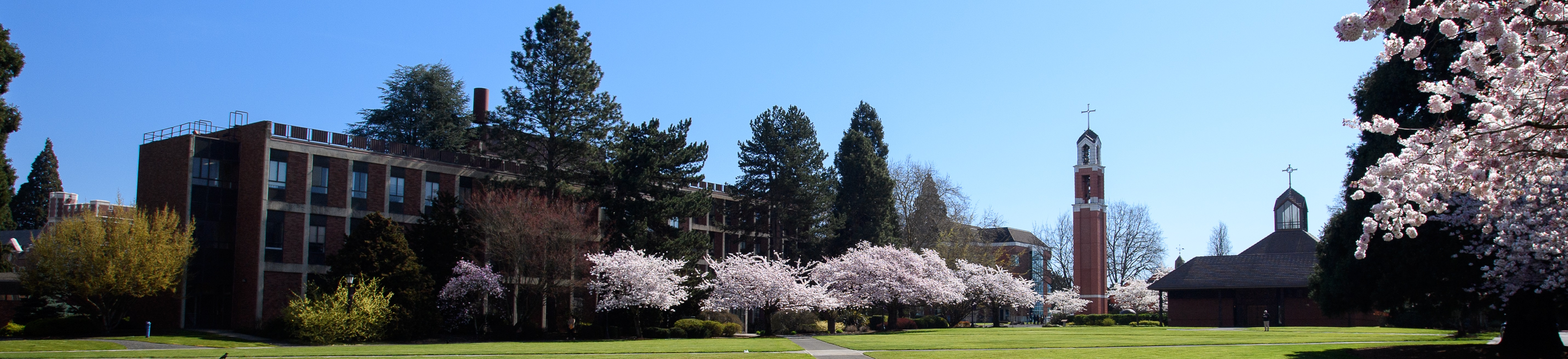 Campus building exteriors on a sunny spring day