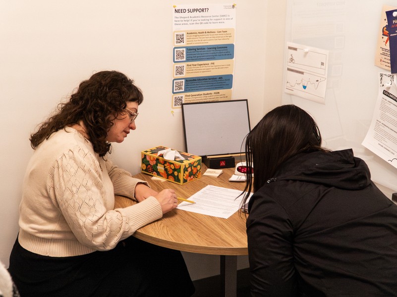 A staff member of the UP Career Education Center advises a student in their employment search.