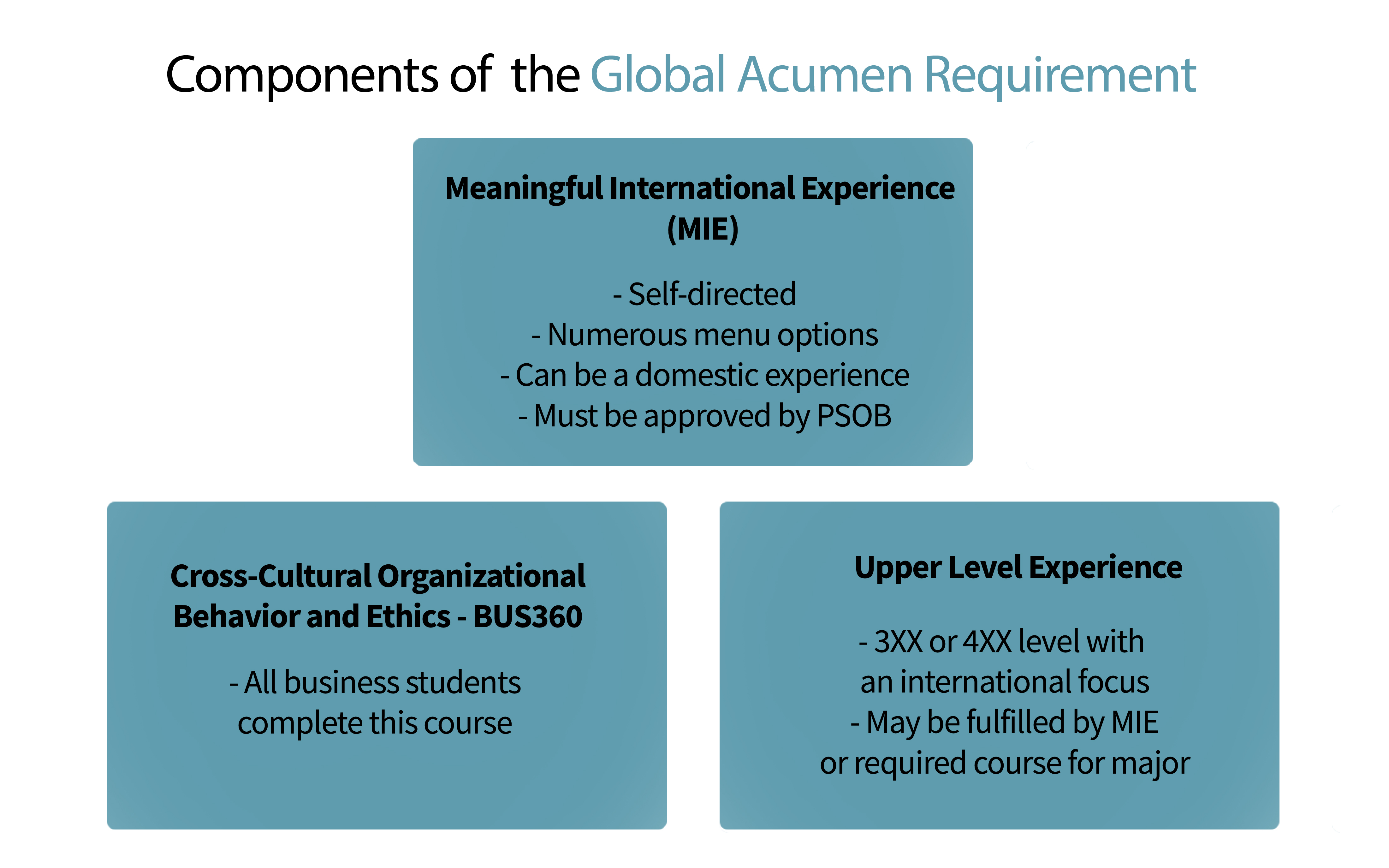 Components of the Global Acumen Requirement