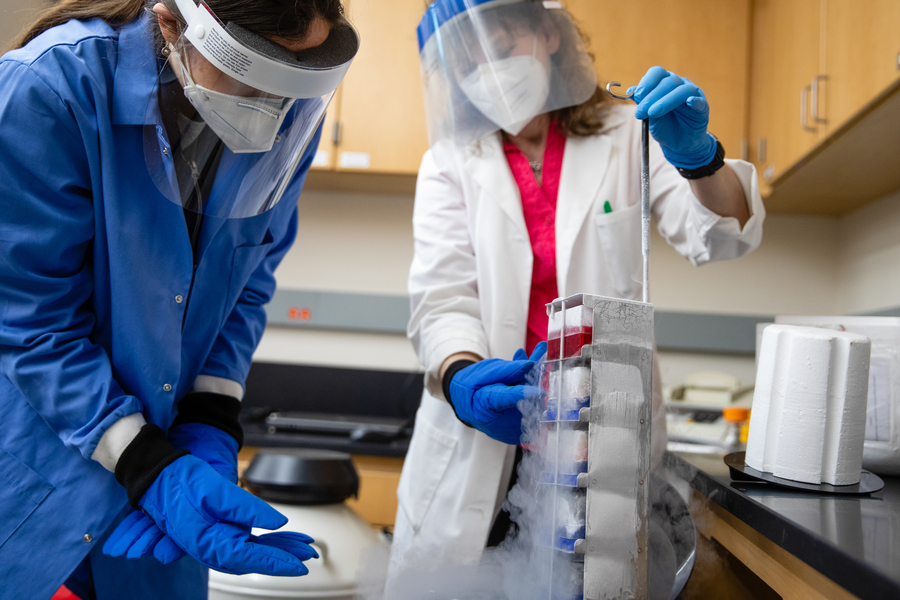 A student and professor wearing protective lab equipment and face shields insert samples into a cryopreservation tank at the University of Portland.