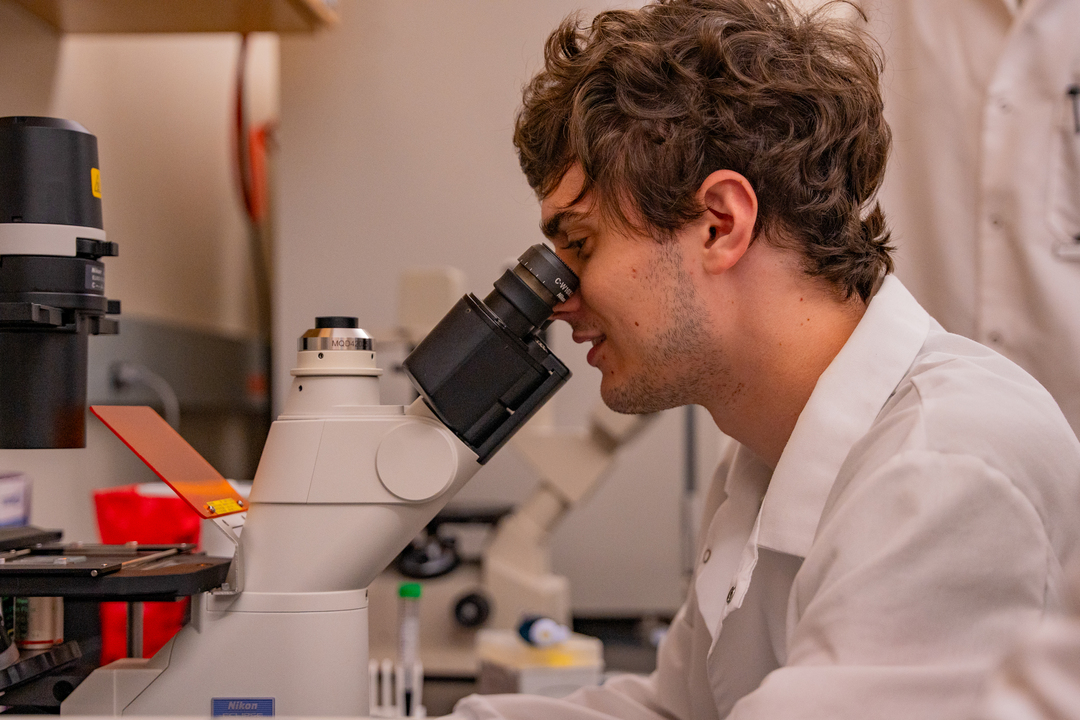 A close-up of a UP Biology student looking into a microscope, focusing on the lens and eyepiece, with a blurred background.