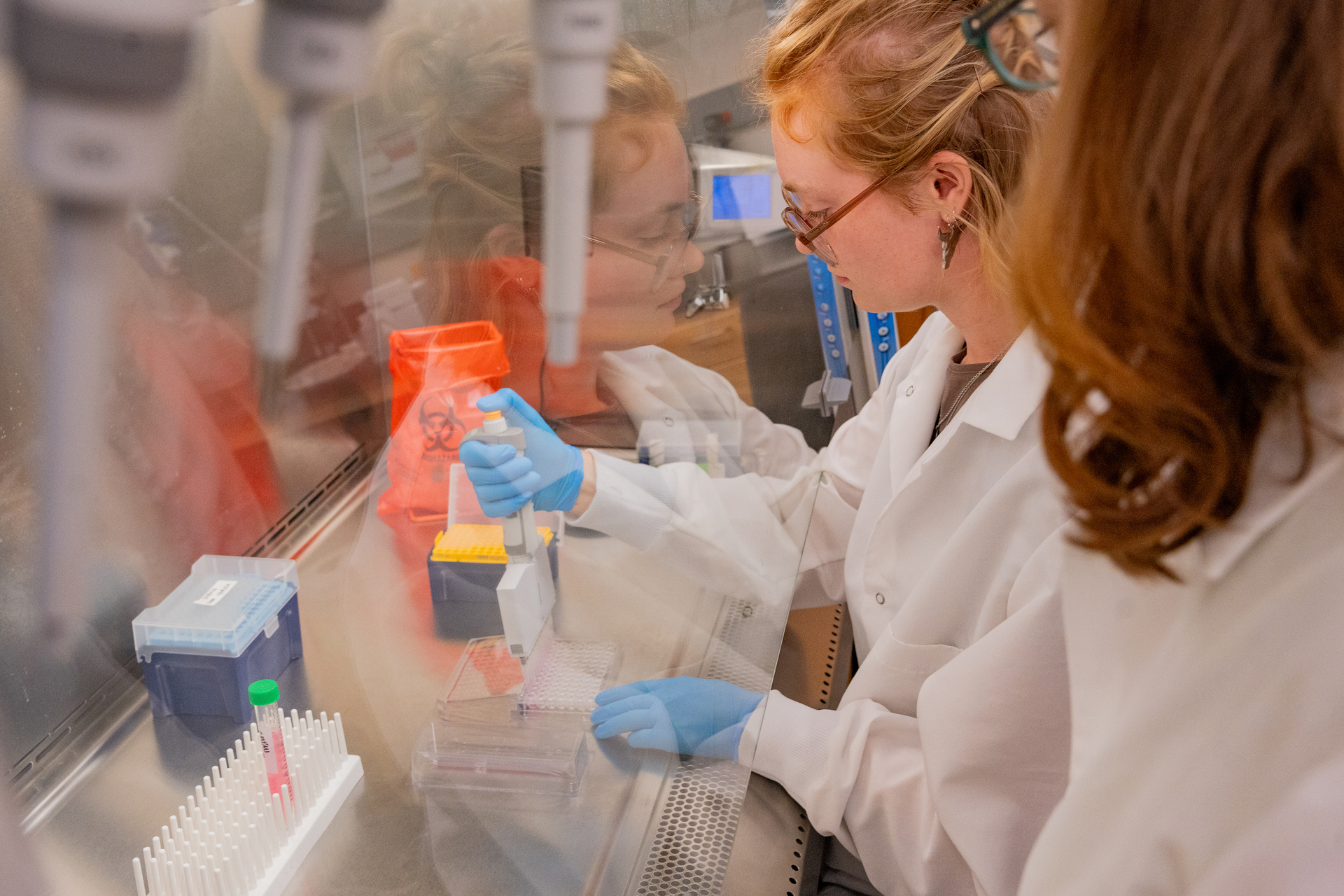 A dynamic view from over the shoulder of a professor of a UP biomedical science student as they work behind a glass barrier in a laboratory, with scientific equipment visible in the background.
