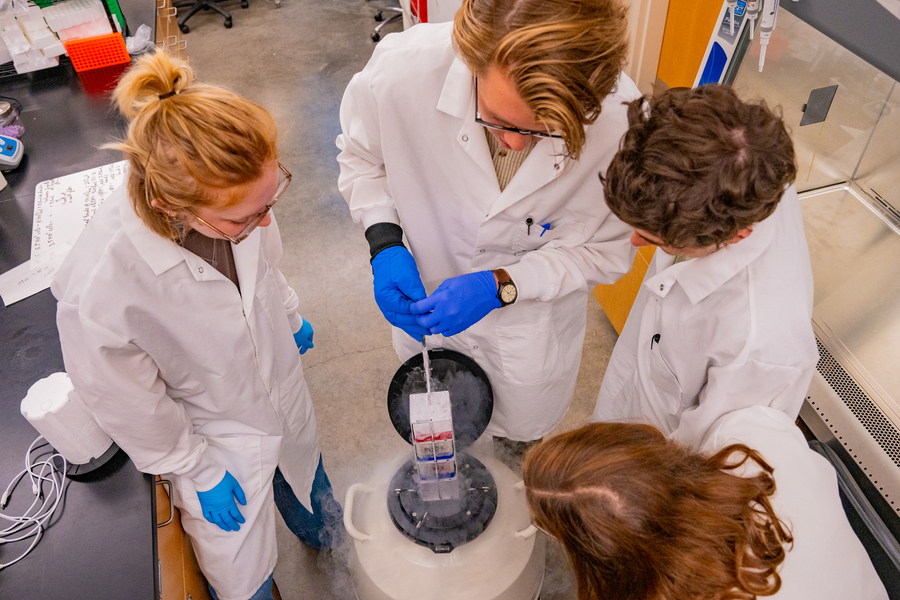 An overhead view of biomedical students and their professor, dressed in protective equipment, as they gather around a cryopreservation tank in a biology lab at the University of Portland.