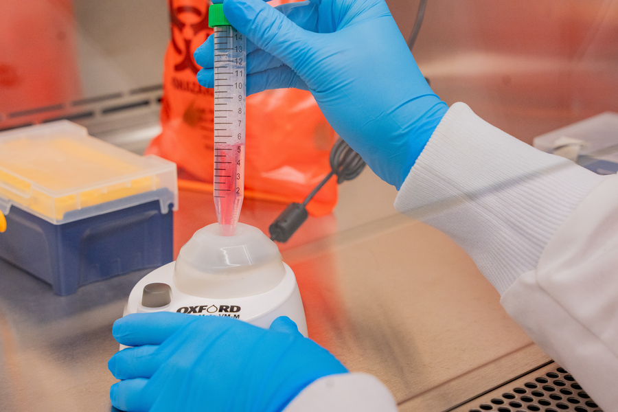 A close up image of a student's hands, wearing blue nitrile gloves, as they use a pipette in the chemistry lab at the University of Portland.