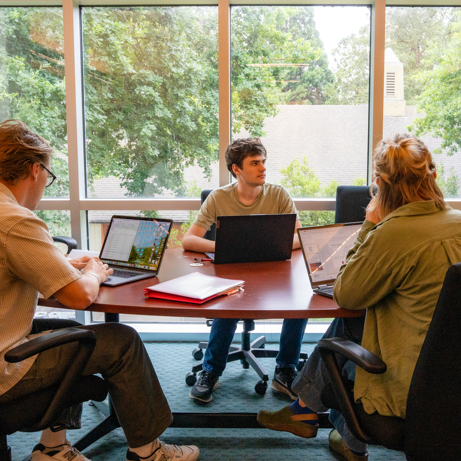 Students in a small study group with a window view showing leafy green tree branches outside with sunlight filtering through. Part of a dark-colored couch is visible in the lower right corner.