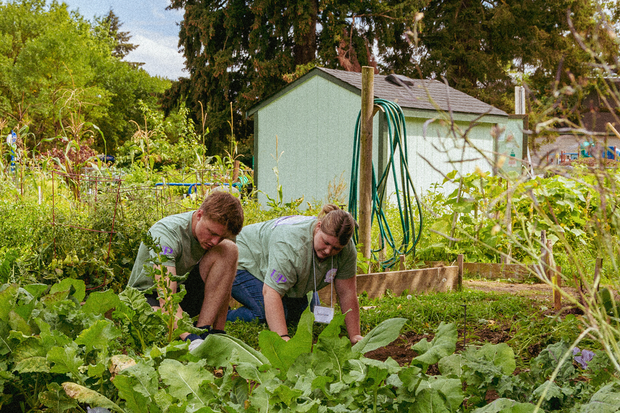 A young UP student with short brown hair is kneeling and working in a lush green garden, surrounded by plants.