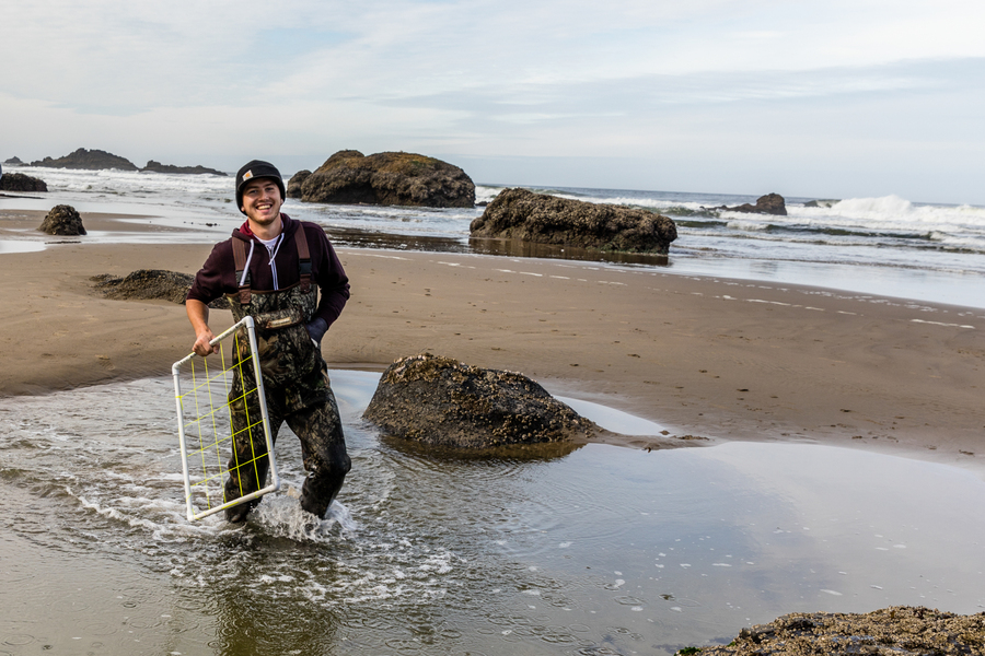 An member of the College Ecology Club at the University of Portland carries a measurement tool while walking in the surf along the Oregon coast during a field research trip.