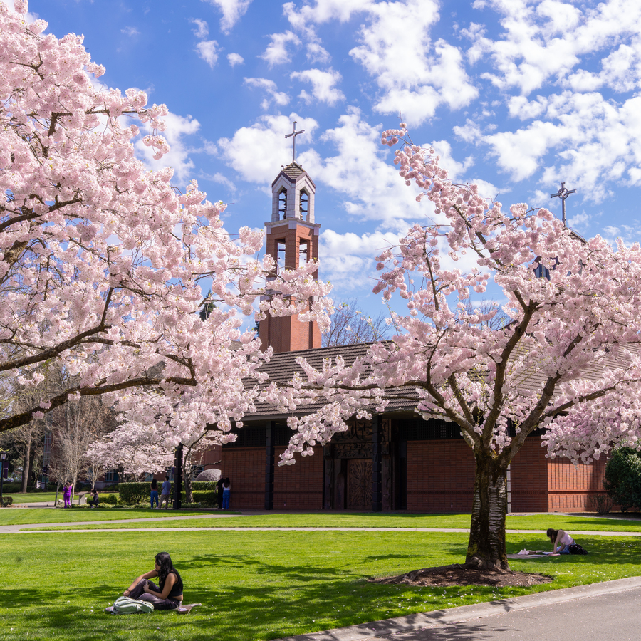 A UP student sits in the green grass of the quad, framed by blossoming cherry trees, with the bell tower in the background against a blue sky dotted with clouds.