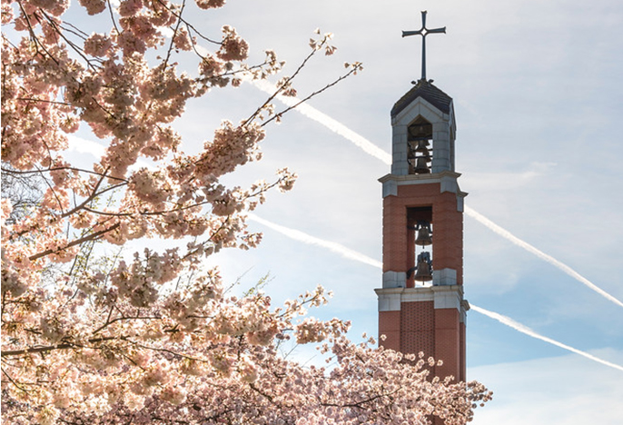 Top of the Bell Tower framed by cherry blossoms