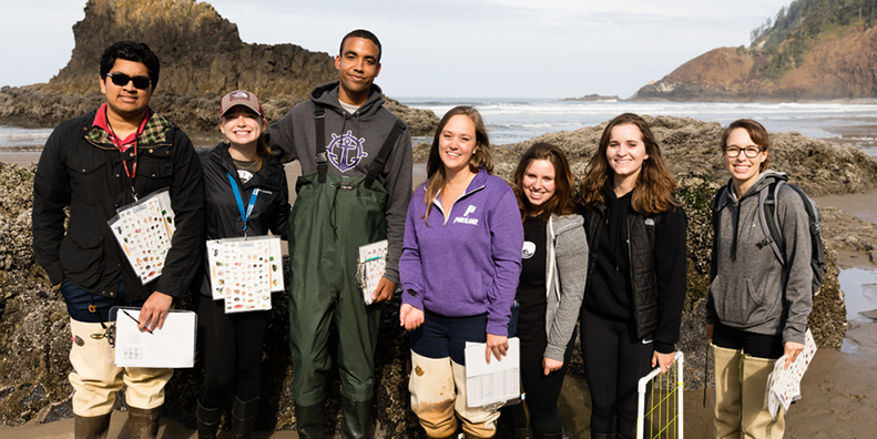 Marine biology students at the beach