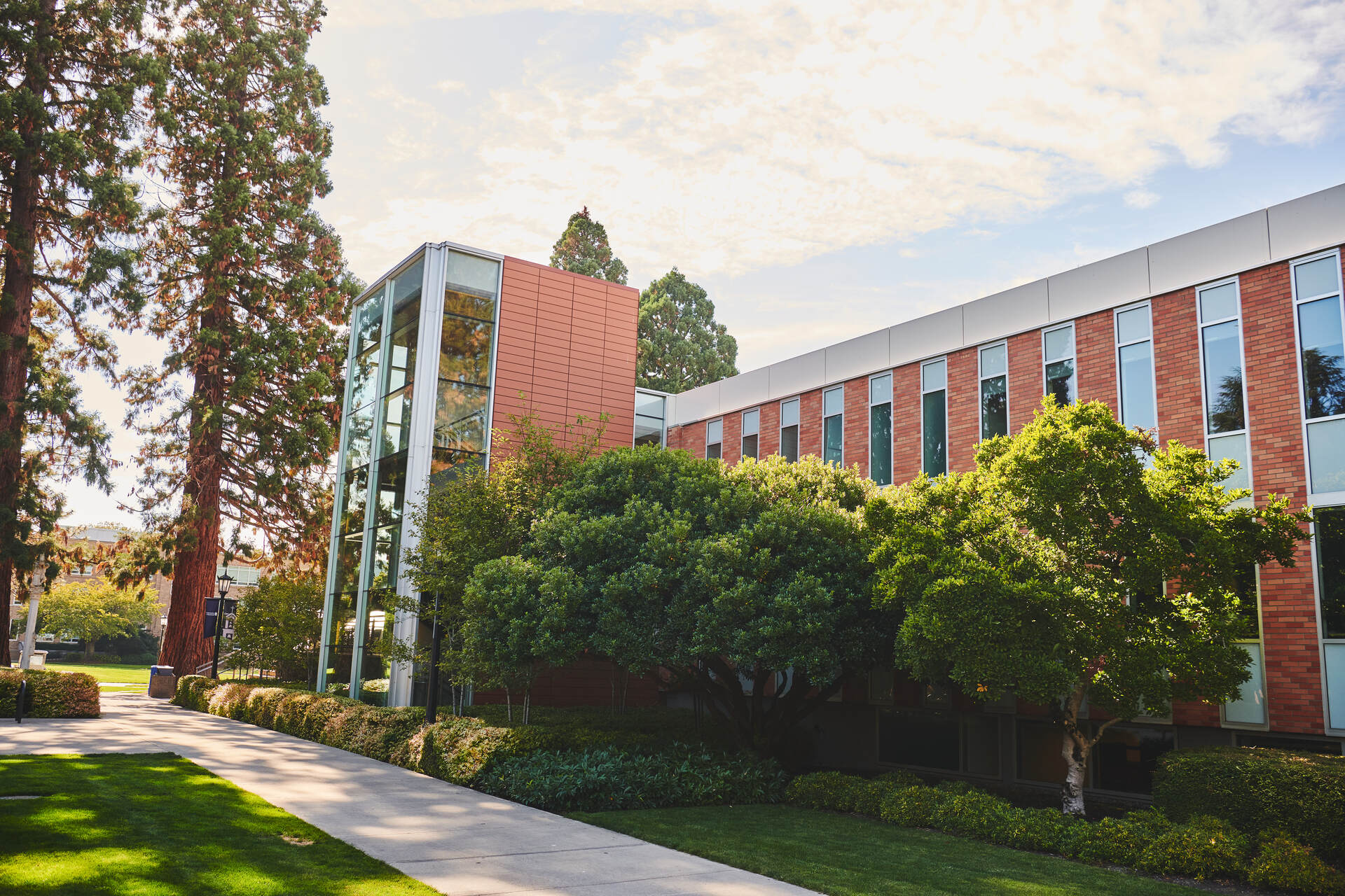 The exterior of the Clark Library at University of Portland, a contemporary building filled with natural light surrounded by mature trees.