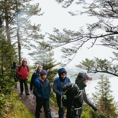 A group of University of Portland students hike on a dirt trail through a coastal forest.