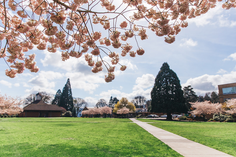Flowering Academic Quad