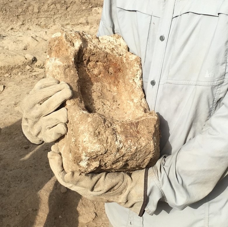 arms holding part of large square artifact at archeology site.