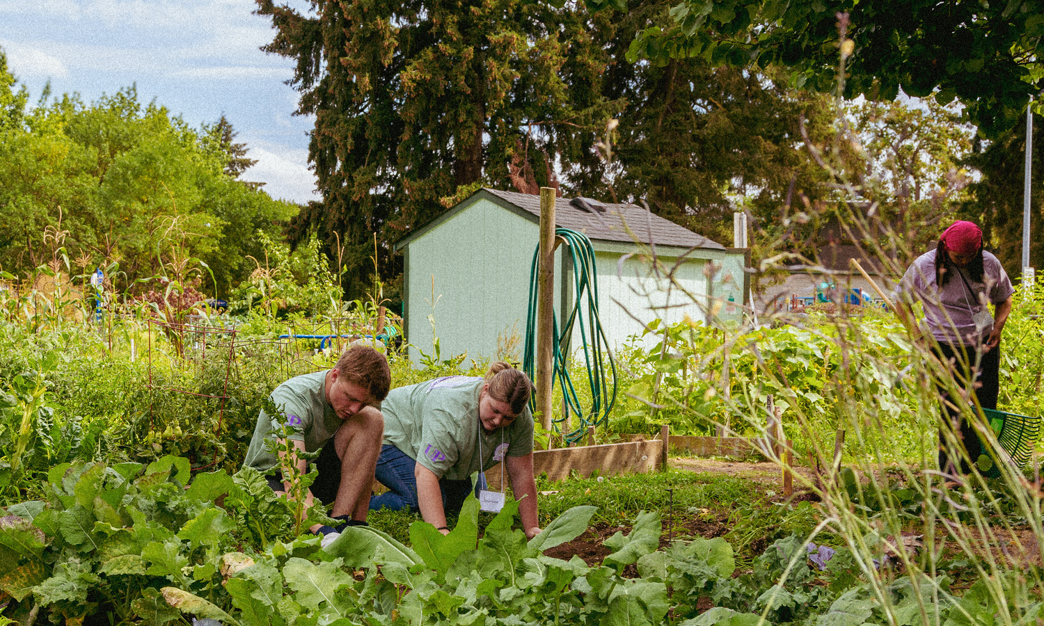 Two University of Portland students kneel and work in a community garden during a volunteer event.