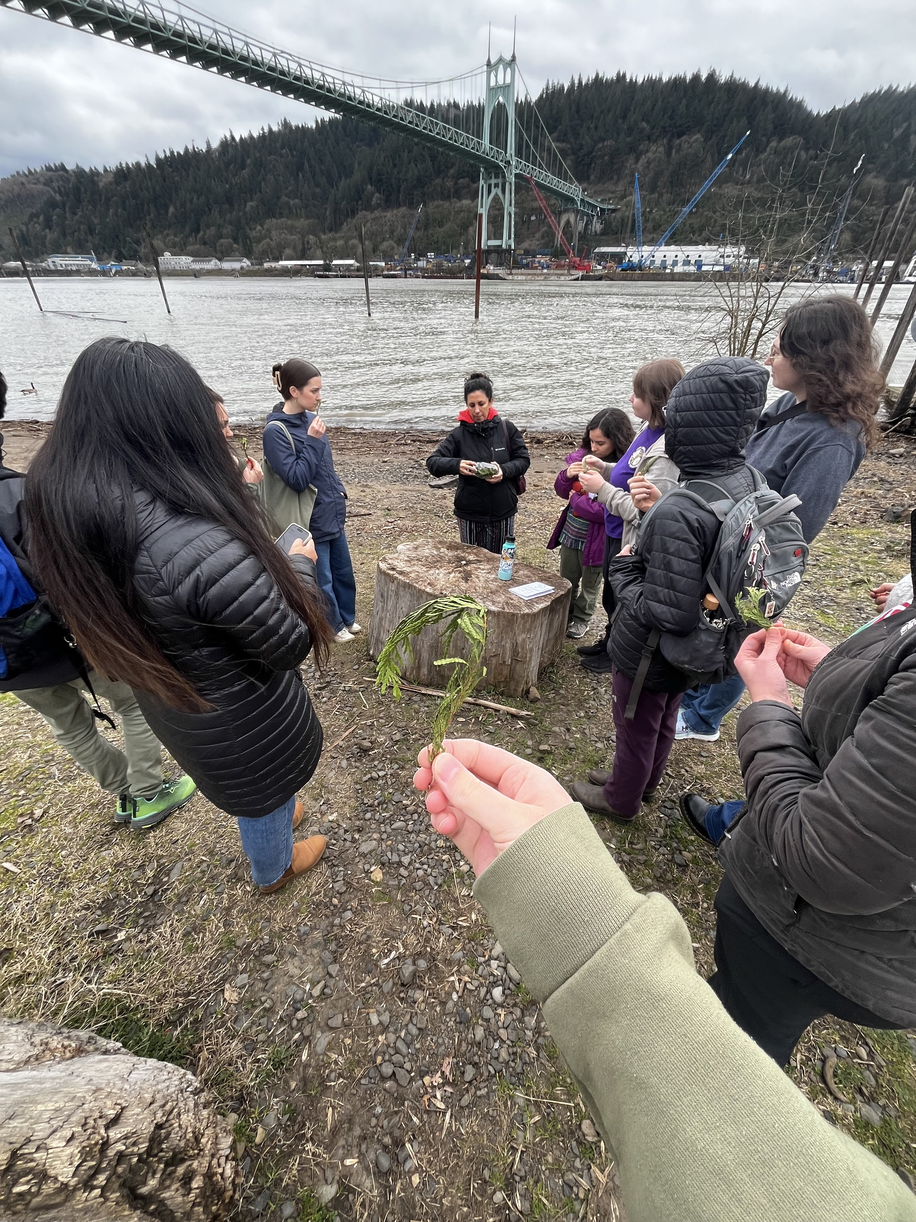 Students hold plants by the Columbia River