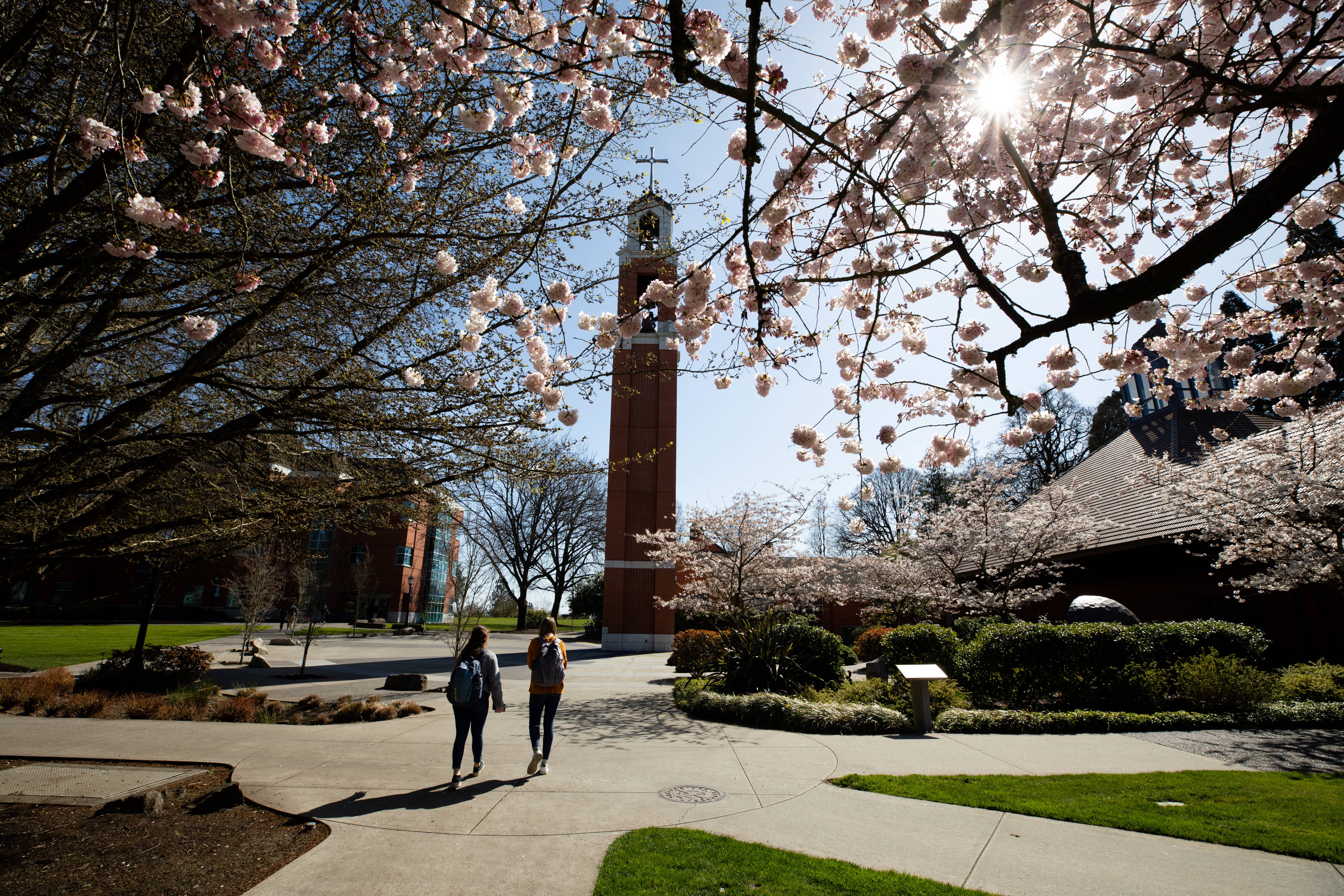 students walking on campus