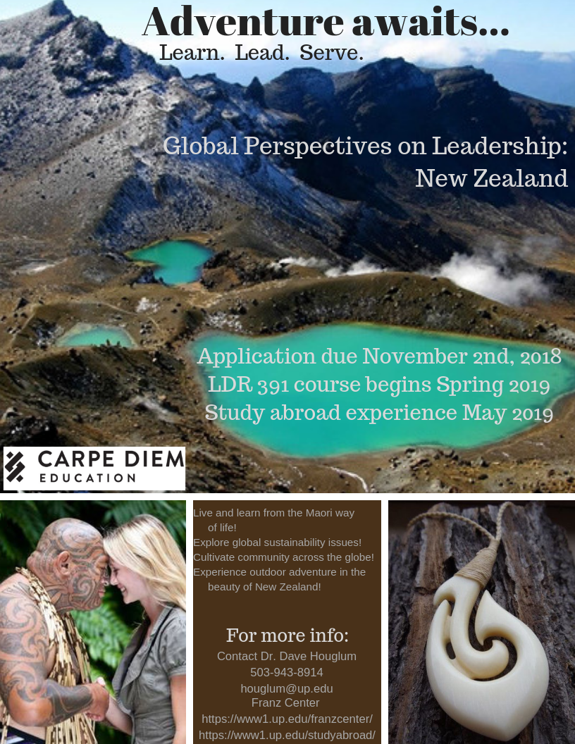 global-perspectives-on-leadership_-new-zealand-2019-1.png