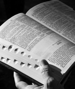 garaventa center catholic high school essay contest