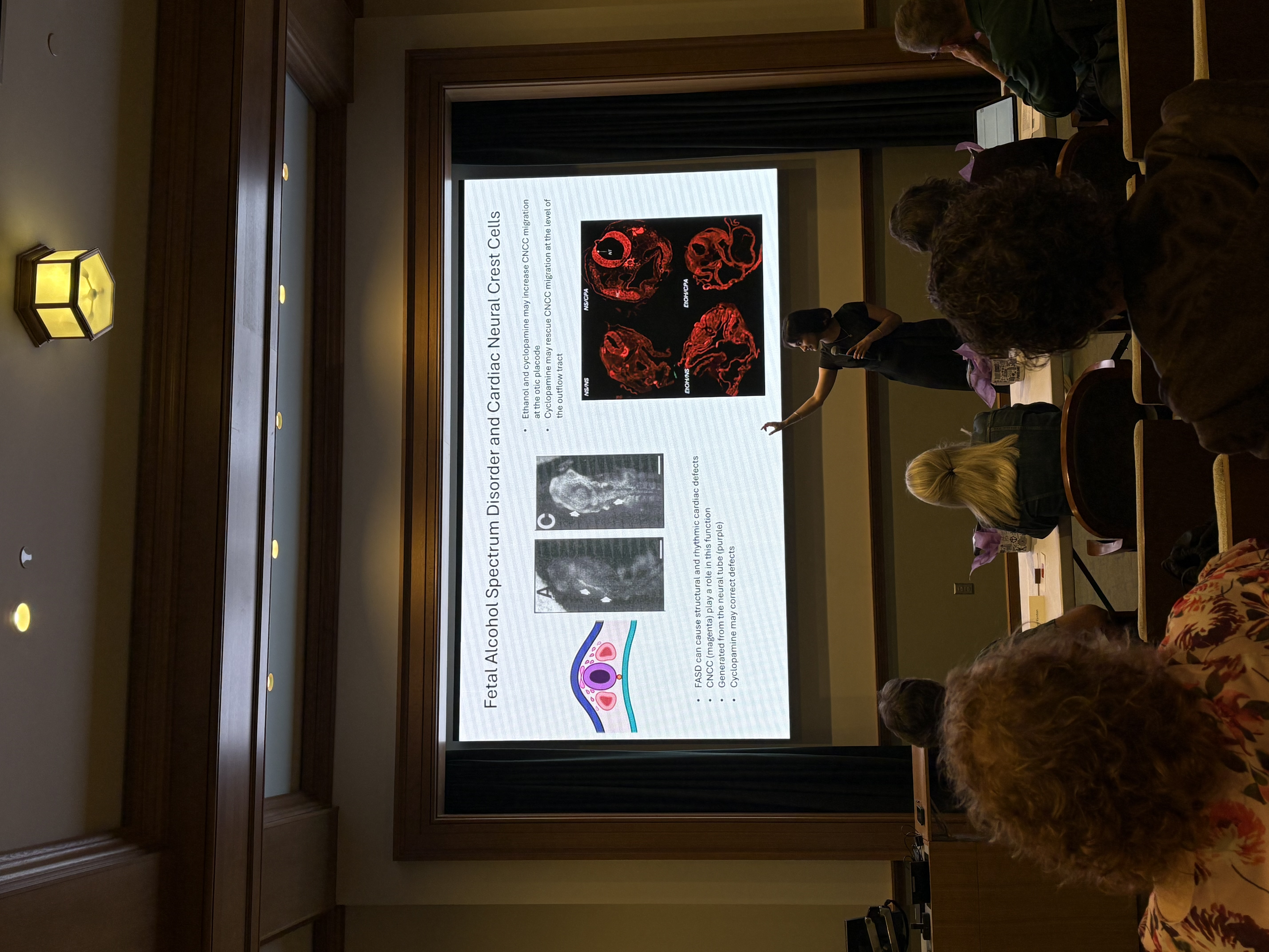 Priyanka Vinsel presenting her three minute thesis presentation to a panel of judges