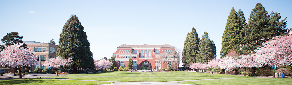 photo of the Franz building with cherry blossoms out front