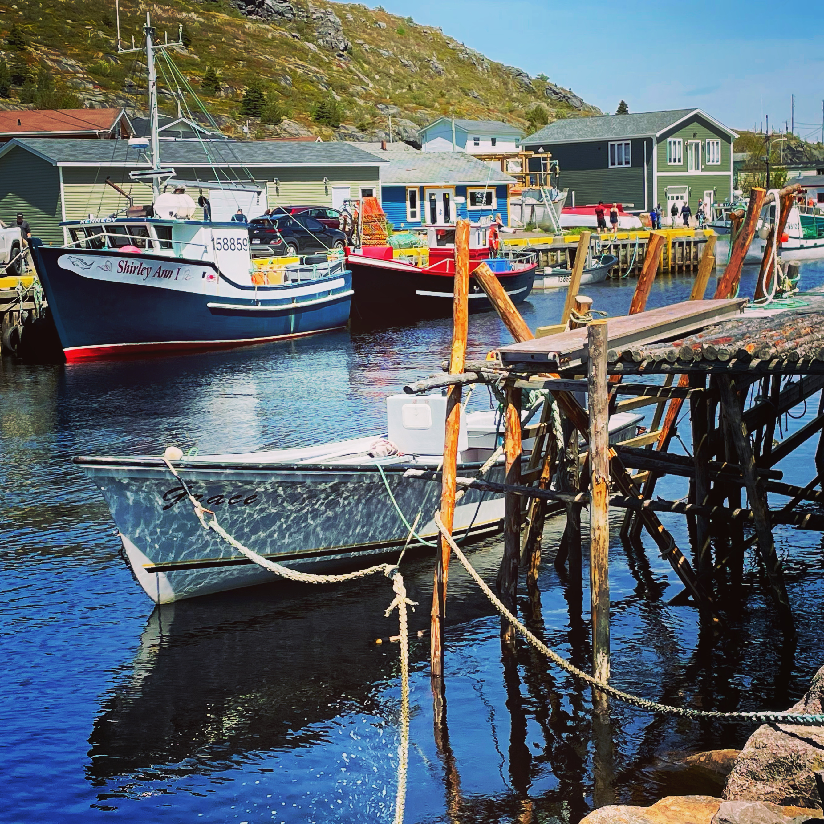 boat in Newfoundland