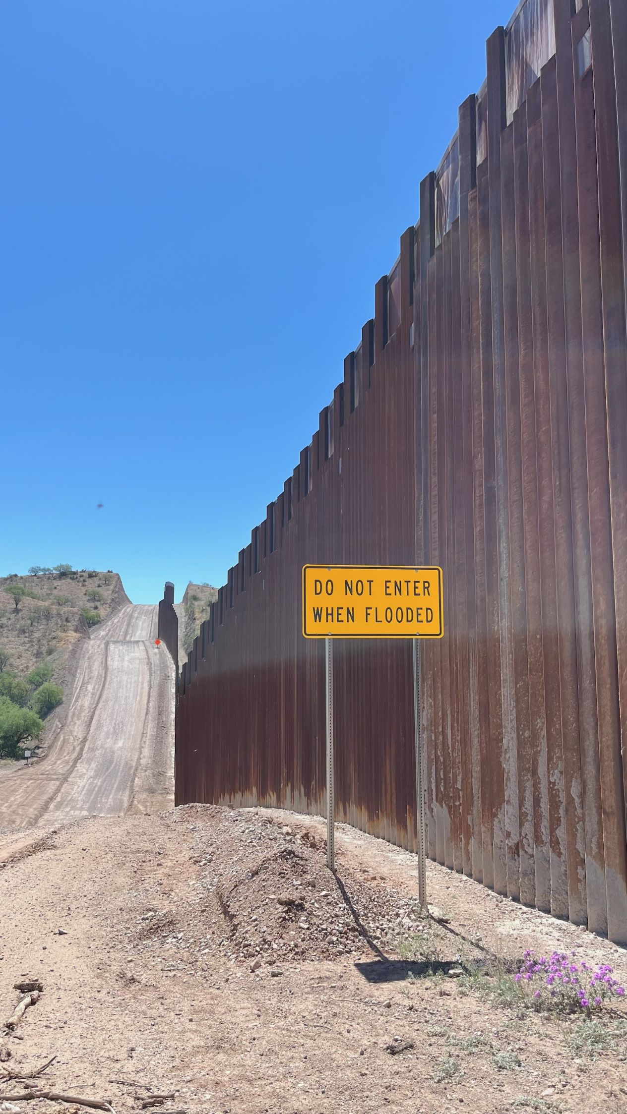 Students participate in a desert walk in southern Arizona near the US/MX border