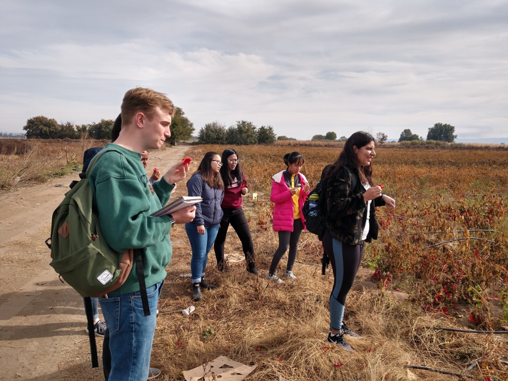 Rural Immersion - visit to a pepper farm