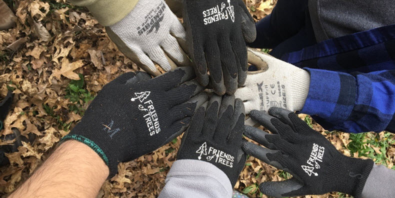 Gloved hands at Friends of Trees event