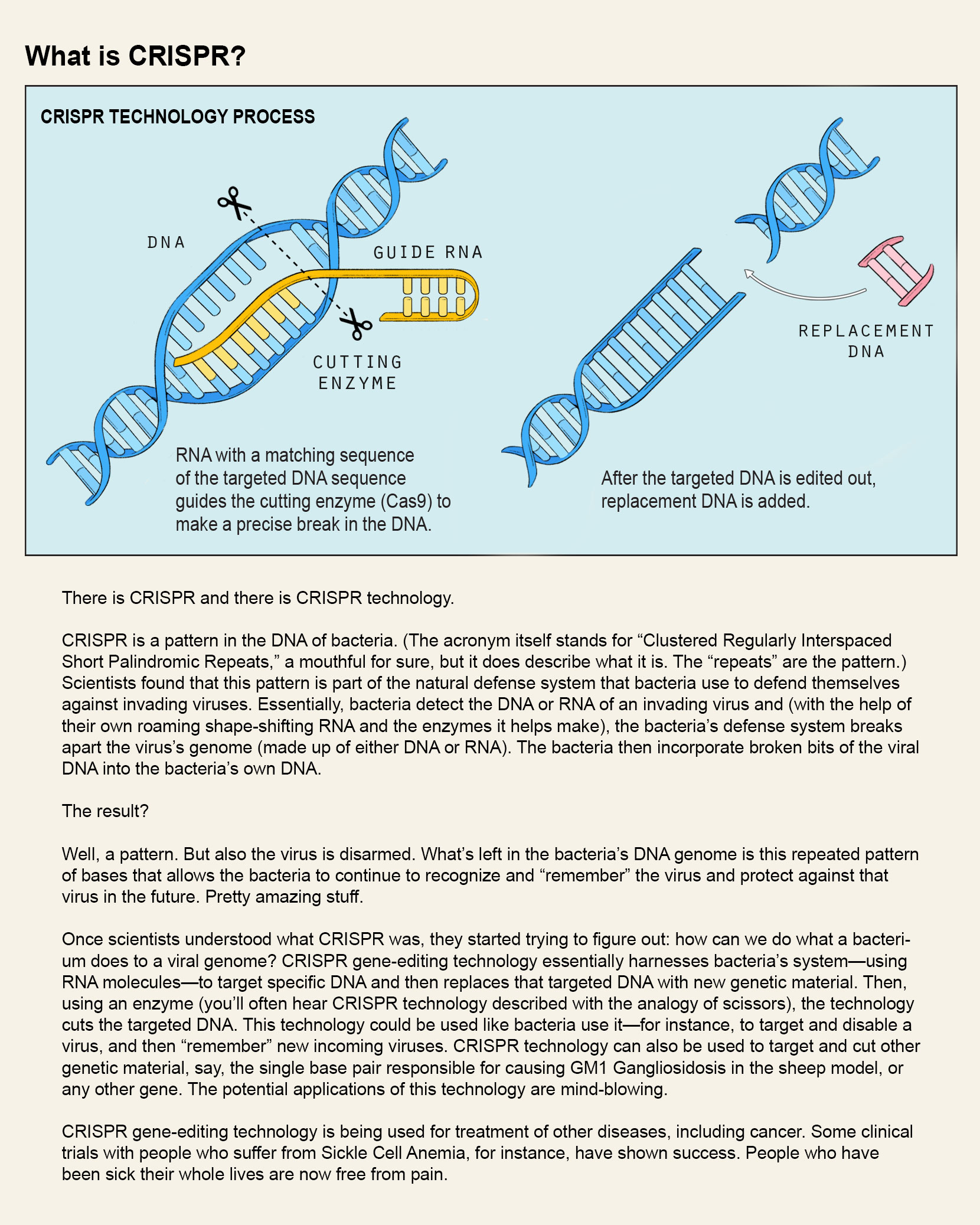 What is CRISPR?