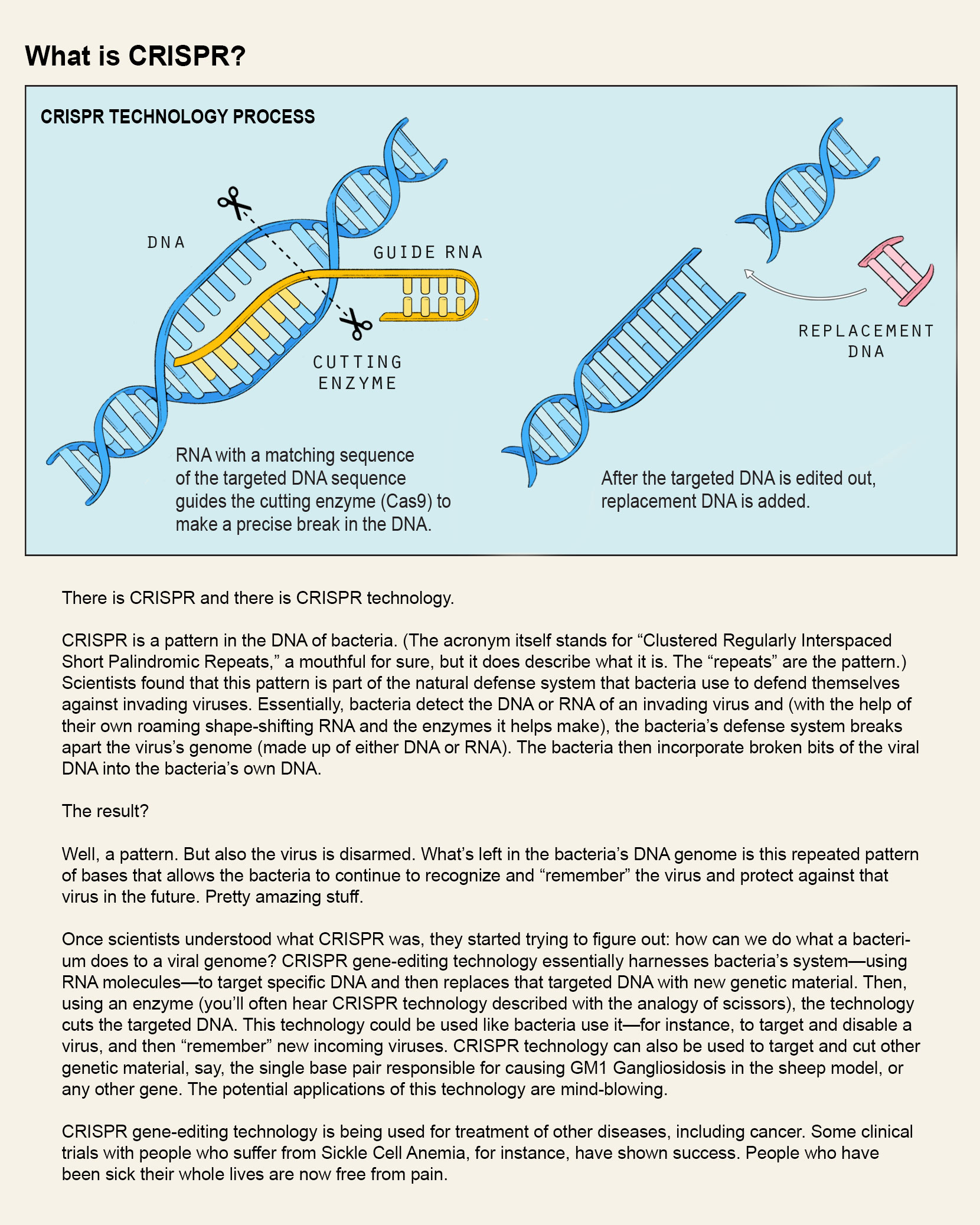 what-is-crispr2.jpg