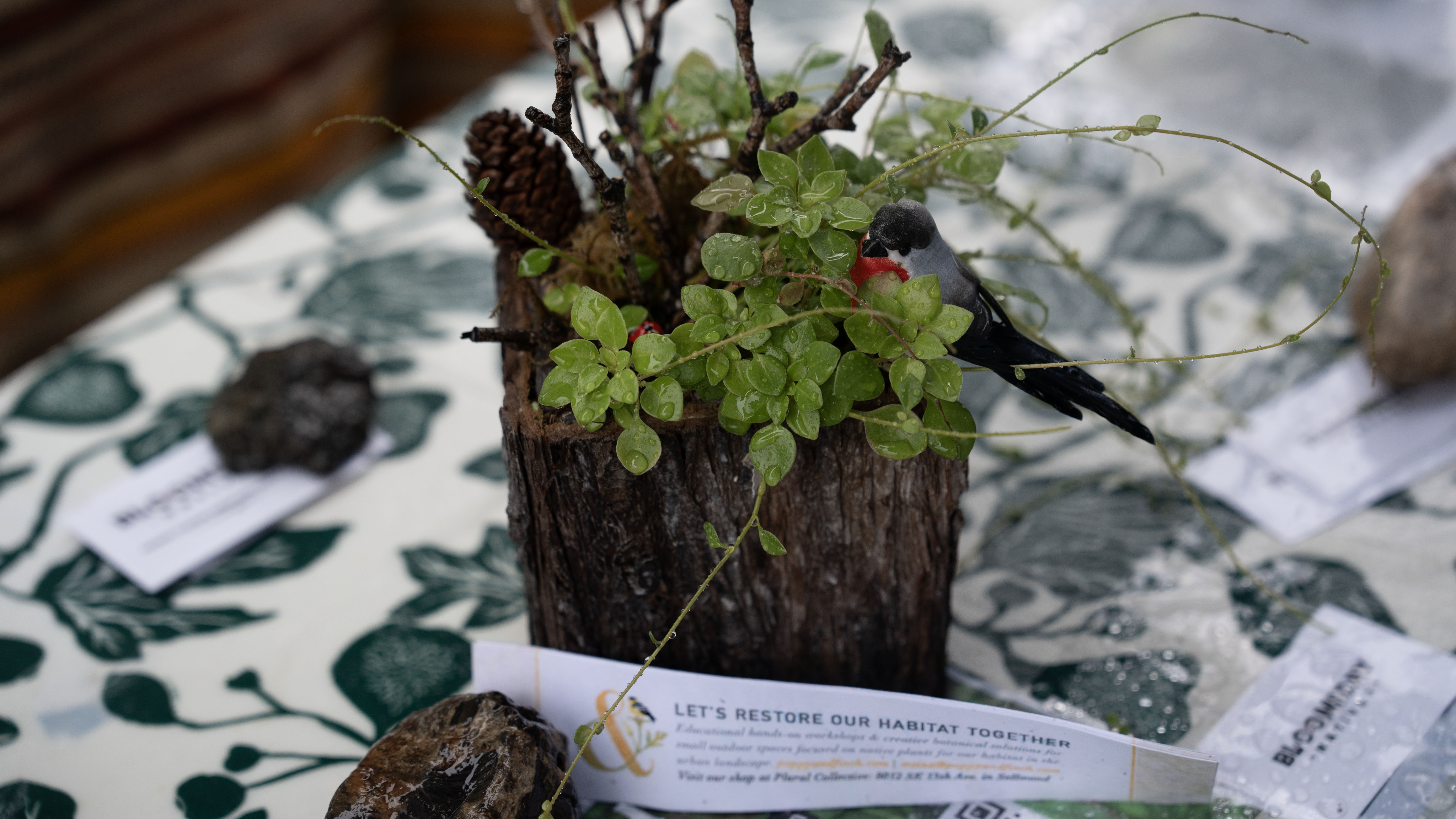 A native plant in a pot at the Student Led Unity Garden (SLUG) at UP