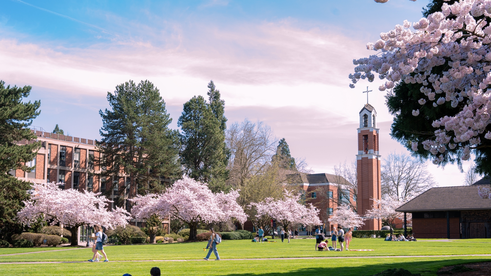 A view of the UP Bell tower seen from across the grassy expanse of the quad, lined with blossoming spring trees.