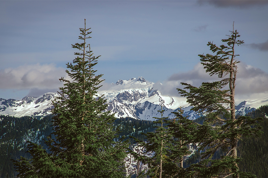 Mountain in Olympic National Park