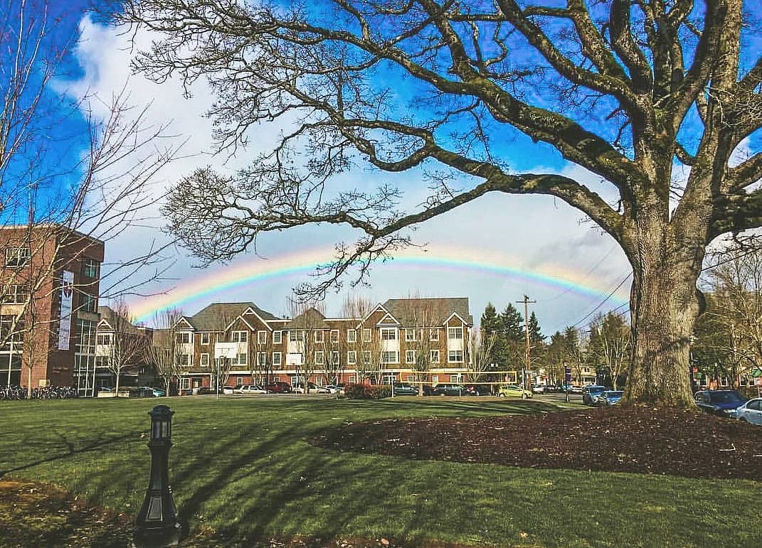 photograph of rainbow over dorms