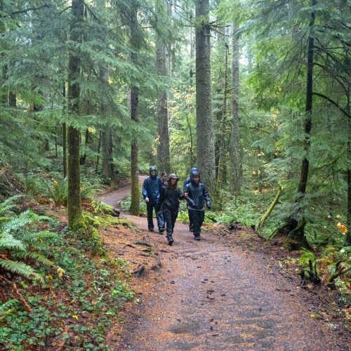 Students walk through forest park surrounded by large fir trees