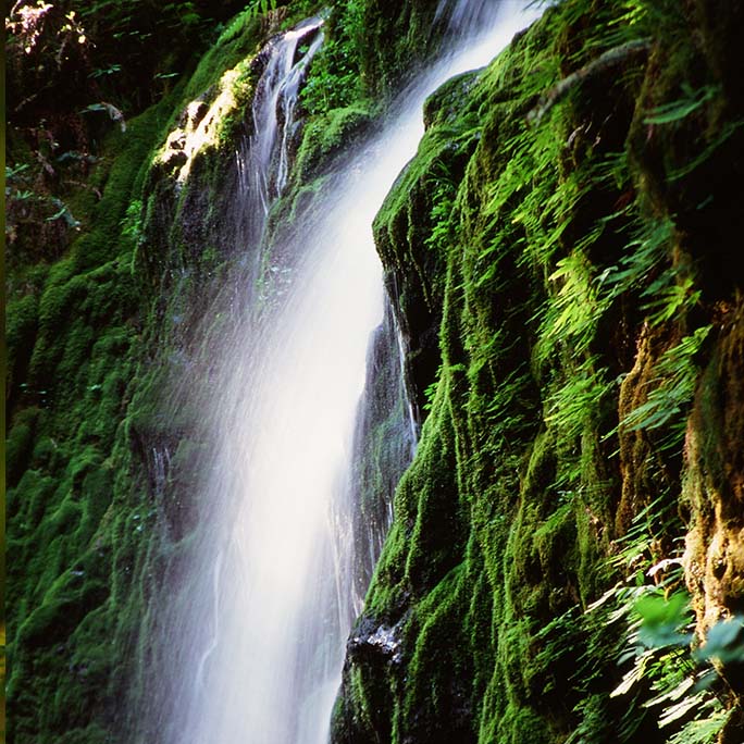 Waterfall