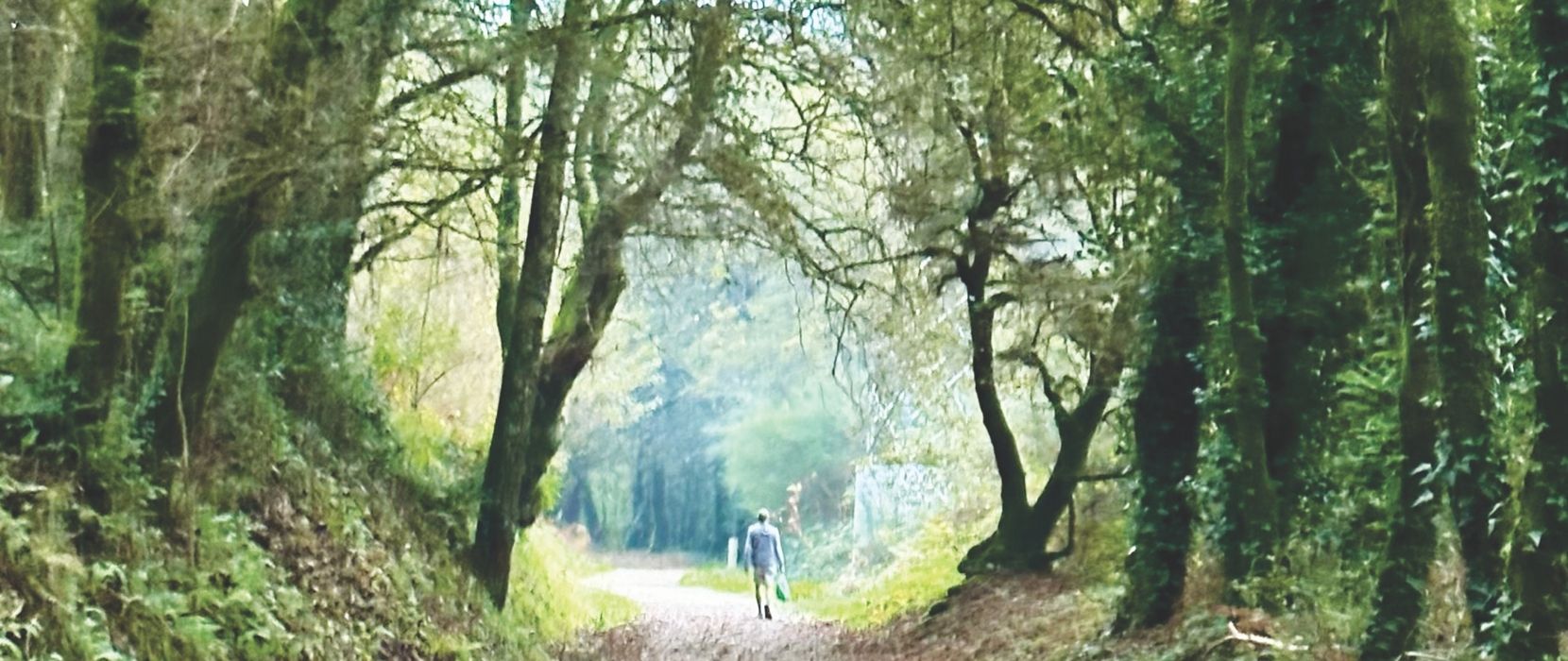 Fr. Pat walks on path under trees.