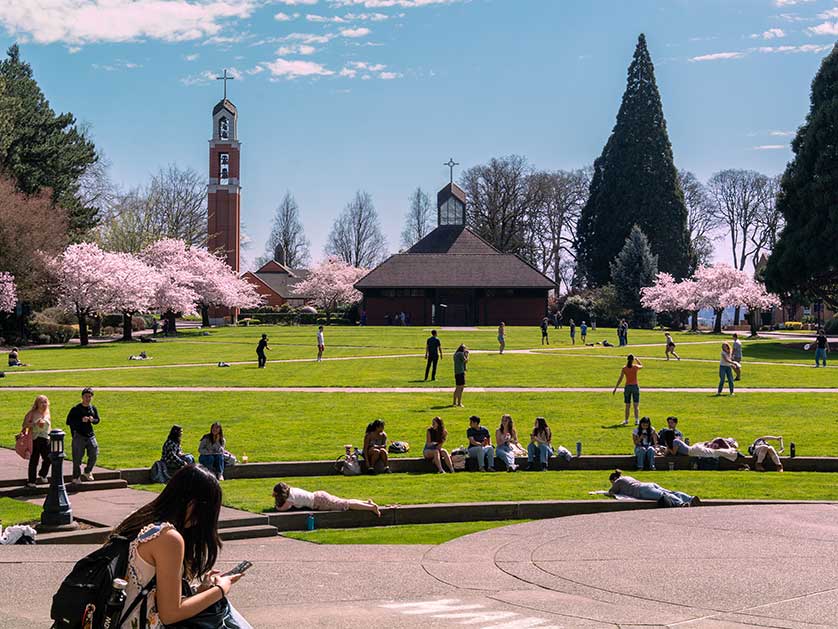 chapel with cherry blossoms