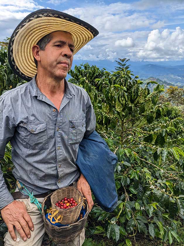 Jaime stands on a mountain with coffee beans