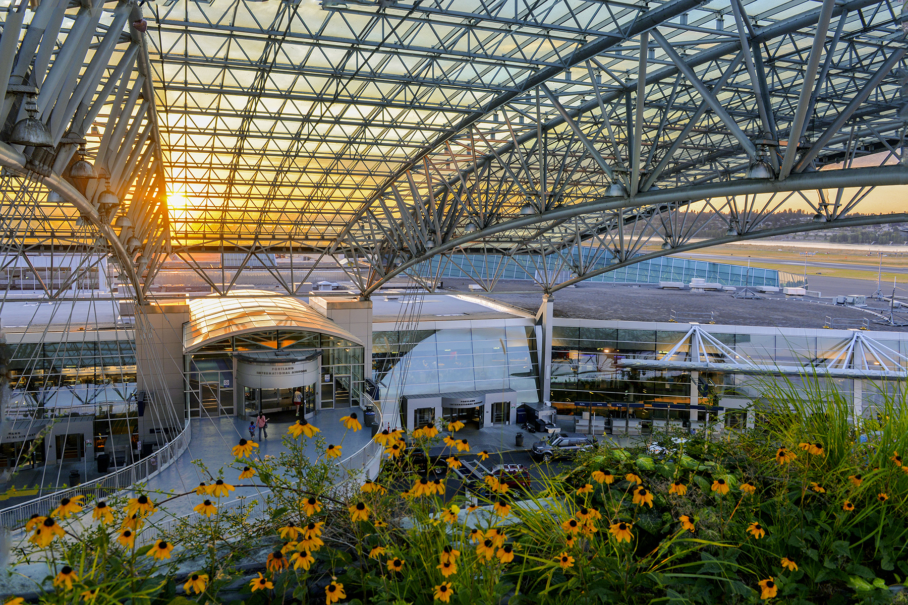 pdx_canopy_dusk.jpg