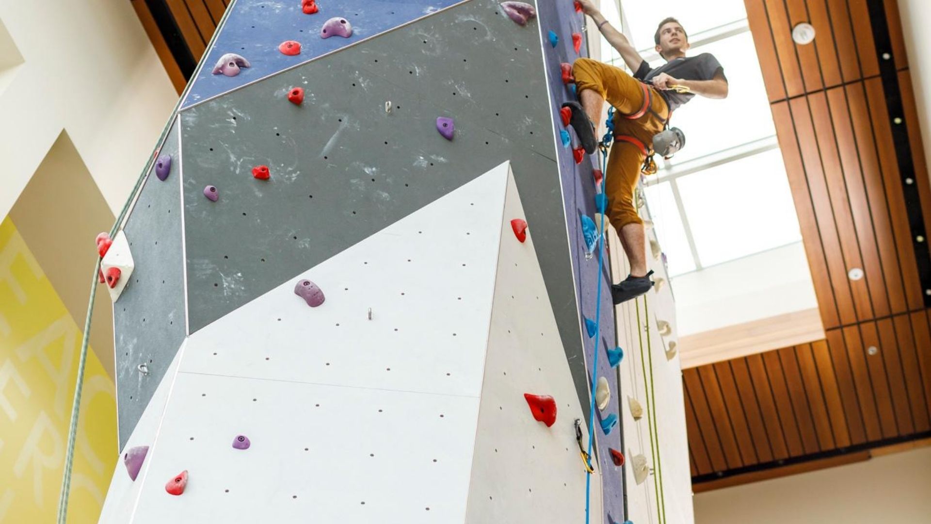 Male climbing in rock gym