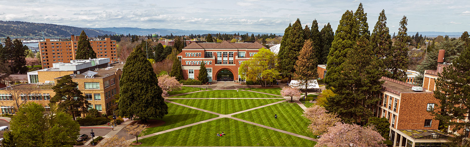 campus and downtown aerial