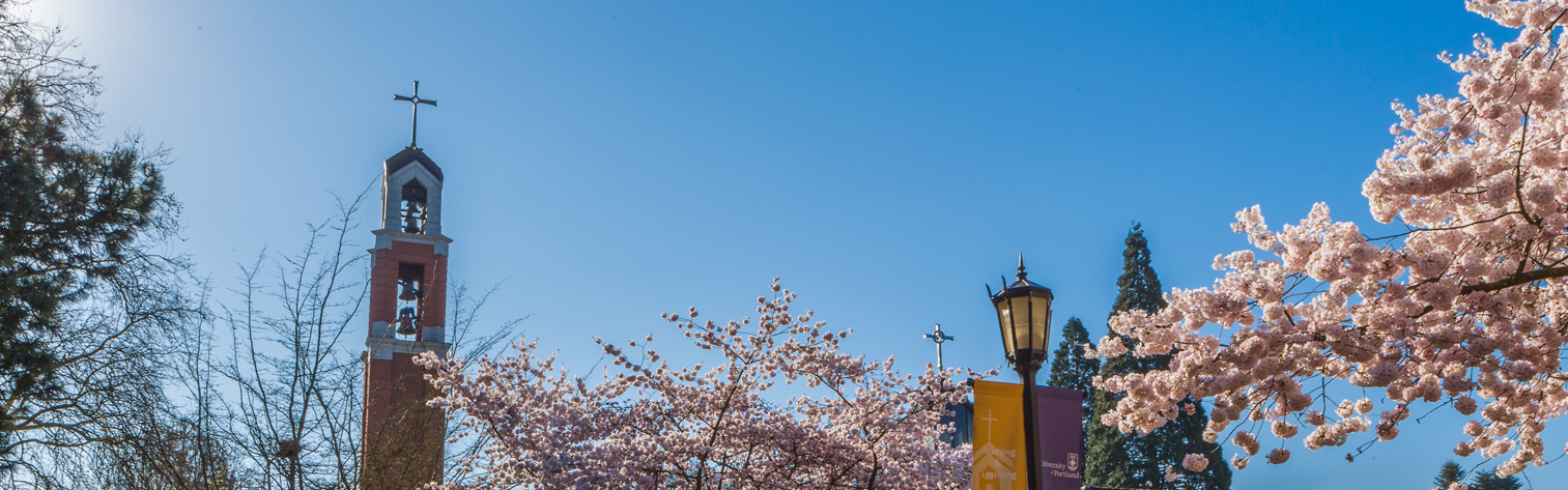 Bell Tower with cherry blossoms in the spring