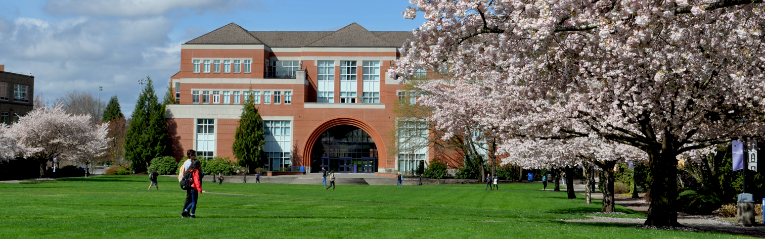 Academic quad with cherry blossoms